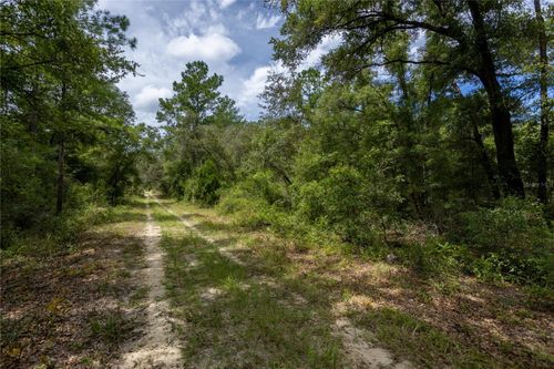 0 81st St, Bronson, FL, 32621 | Card Image