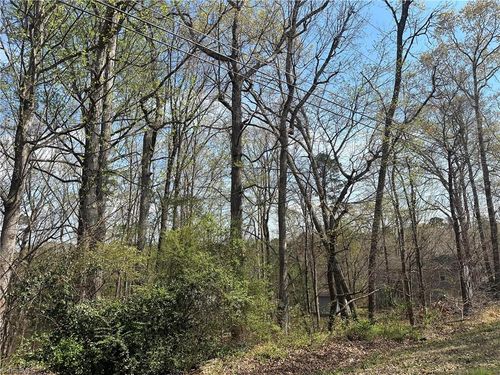 0 Idlewild Drive Ext, Randleman, NC, 27317 | Card Image