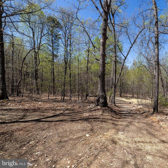 309 Wildwood Ln, Home with 0 bedrooms, 0 bathrooms and null parking in SHENANDOAH VA | Image 8