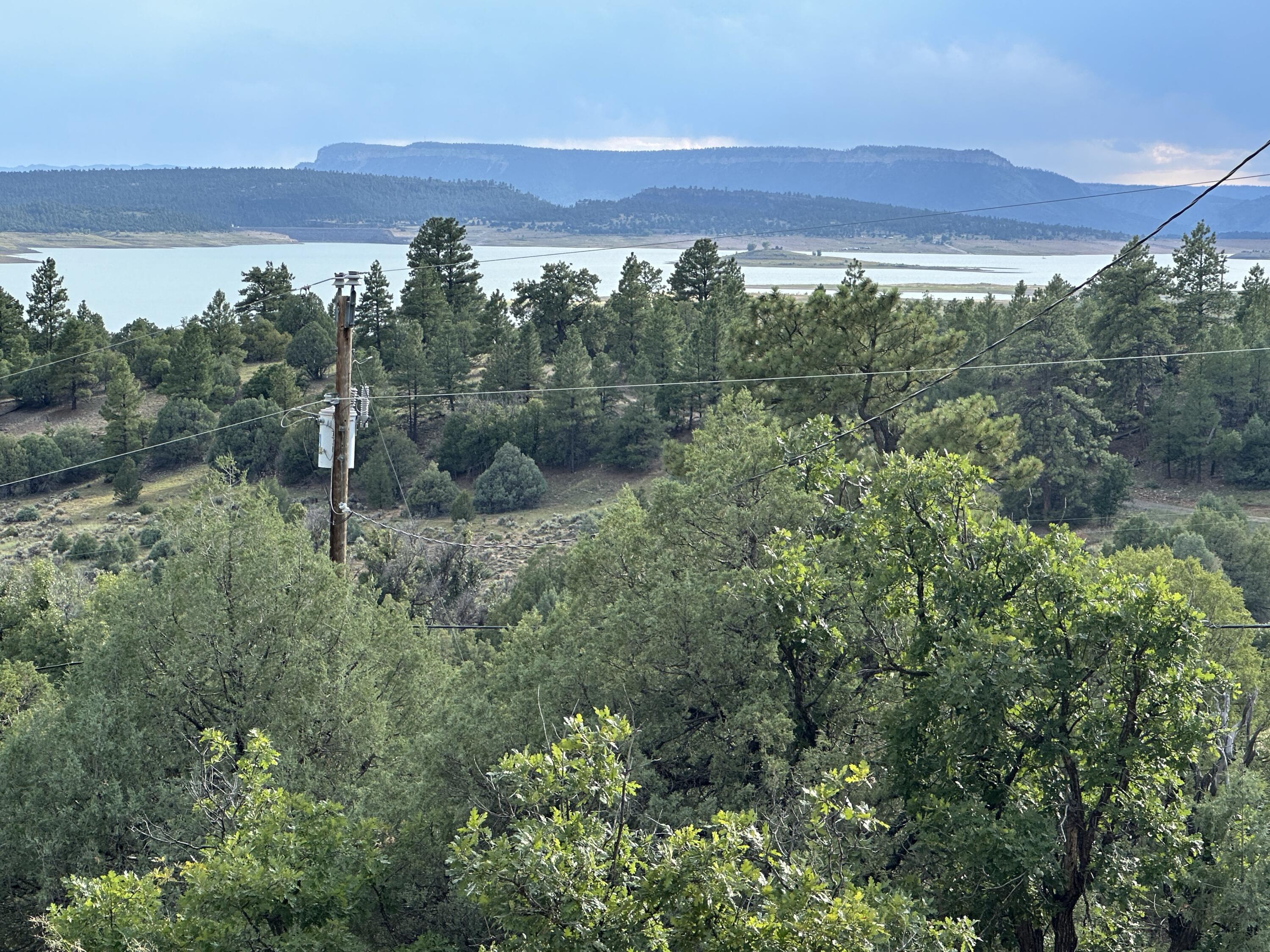 Land in Los Ojos 3