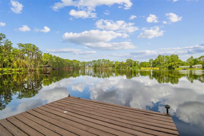 820 Newberger Rd, House other with 3 bedrooms, 2 bathrooms and null parking in LUTZ FL | Image 20
