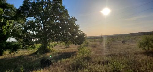 956 County Road 1990, Chico, TX, 76431 | Card Image