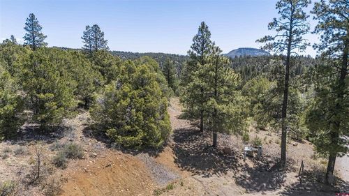 275 Logging Trail Rd, Durango, CO, 81303-3609 | Card Image