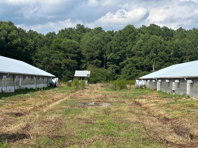View of yard | Image 26