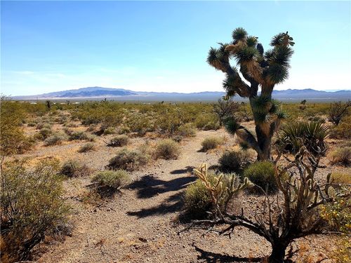 11321 W Santa Bella Dr, White Hills, AZ, 86445 | Card Image