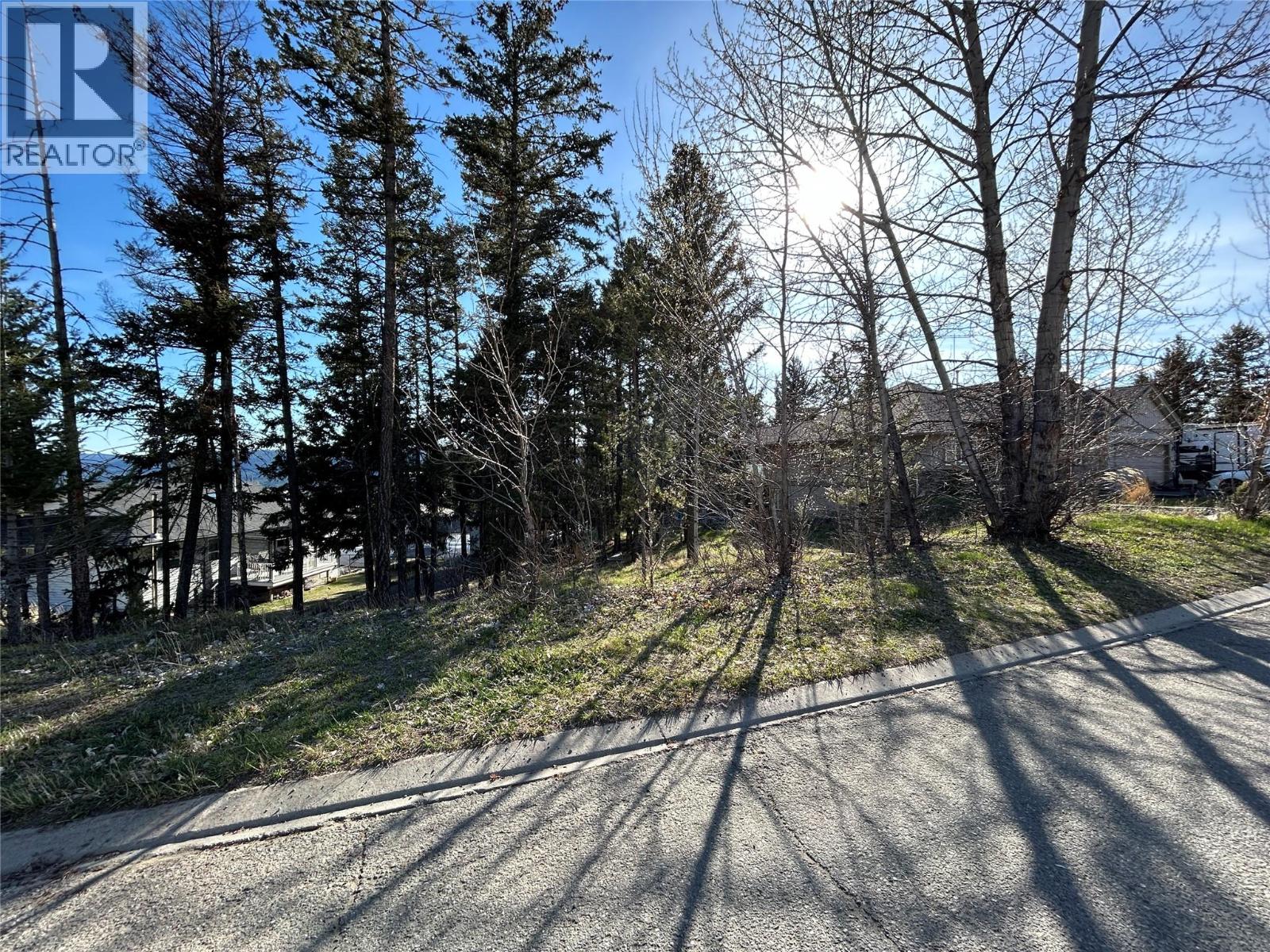 Land in Logan Lake 3
