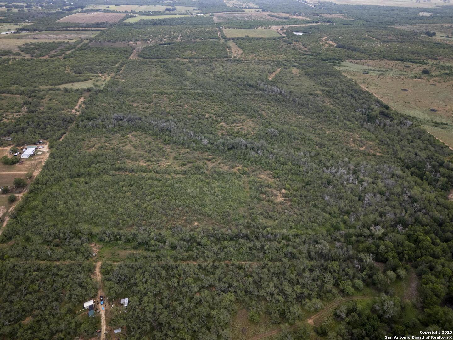 Land in Floresville 3