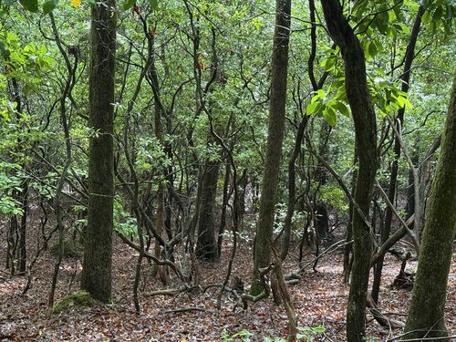 Lot 28 Atoah Loop, Murphy, NC, 28906 | Card Image