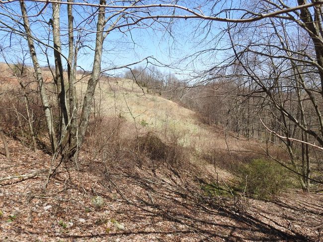 984 Cloverdale Rd, House other with 4 bedrooms, 1 bathrooms and null parking in Independence VA | Image 40