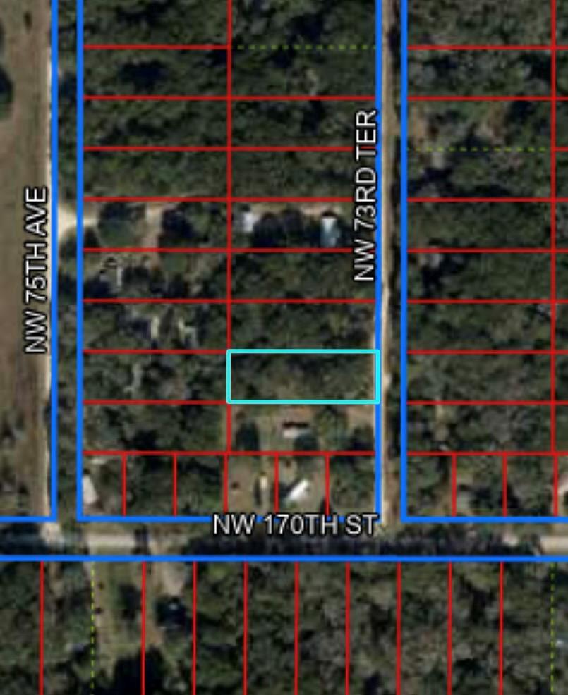 73rd Ter, Trenton, FL 32693