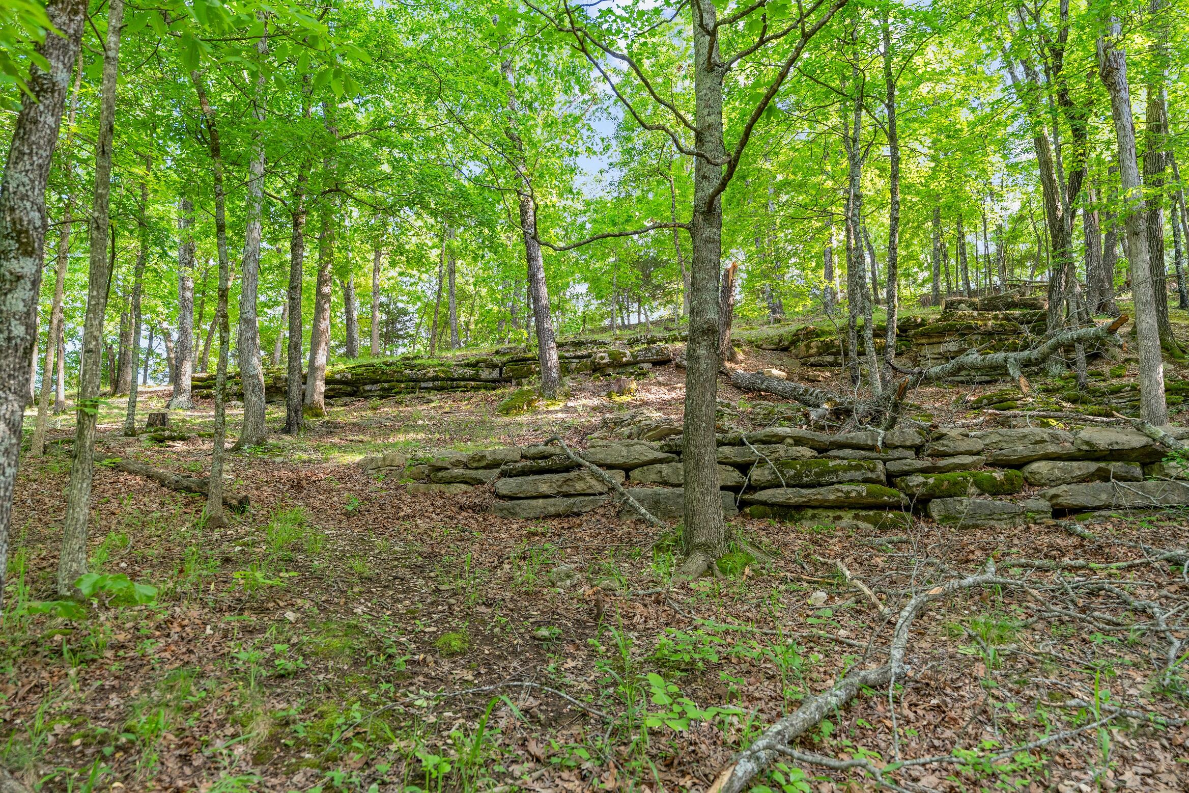 Land in Branson 2