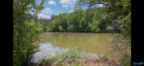 157 County Road 144, Gaylesville, AL, 35973 | Card Image