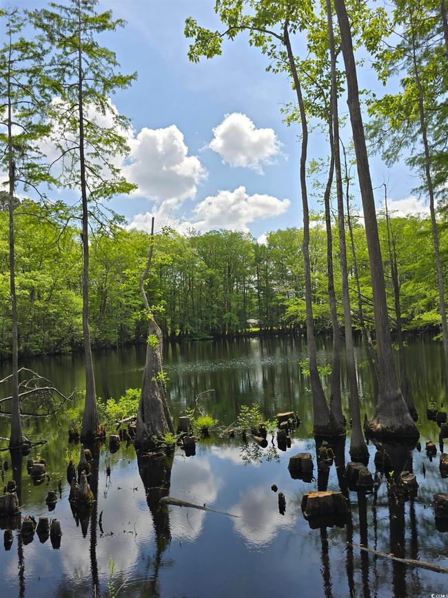 Water view | Image 14