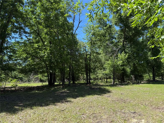 72 N Farm Road 900 N, Home with 0 bedrooms, 0 bathrooms and null parking in Saltillo TX | Image 31
