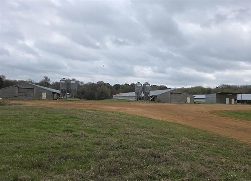 1886 Opossum Rd, Pittsburg, TX, 75686-7918 | Card Image