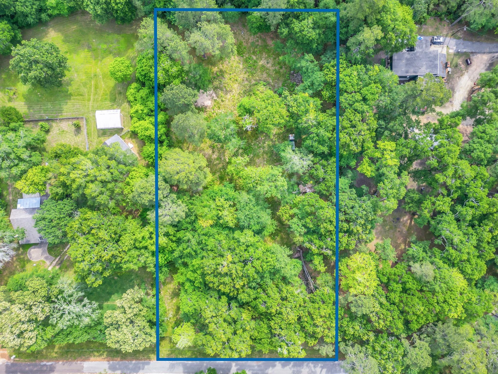 Land in Hockley 3