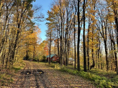 1651 White Knoll Rd, Ulysses, PA, 16948 | Card Image