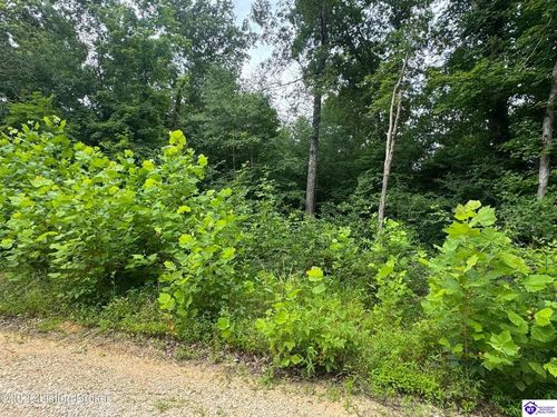 0 Ted Logsdon Road, Clarkson, KY, 42726 | Card Image