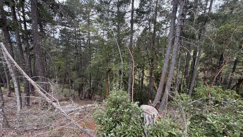 25648 Madrone Drive, Willits, CA, 95490 | Card Image