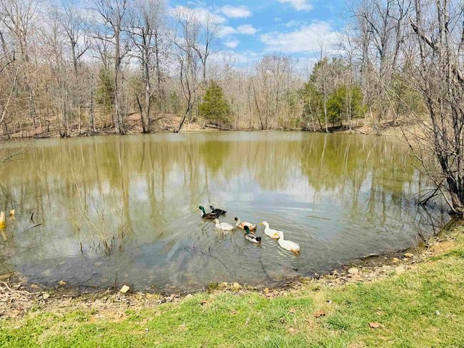 3912 Ar 354 Hwy, House other with 3 bedrooms, 2 bathrooms and null parking in Oxford AR | Image 19