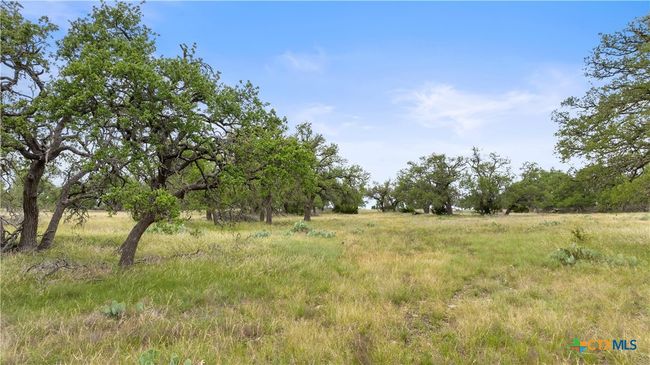 3049 Reservation Rd, Home with 0 bedrooms, 0 bathrooms and null parking in Harper TX | Image 42