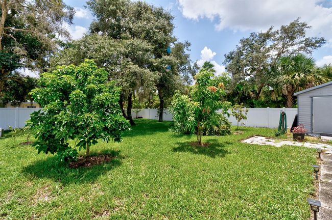 Fruit trees | Image 25