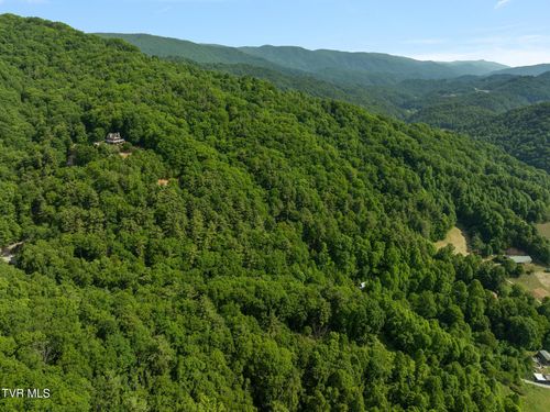 685 Tipton Branch Rd, Flag Pond, TN, 37657-2010 | Card Image