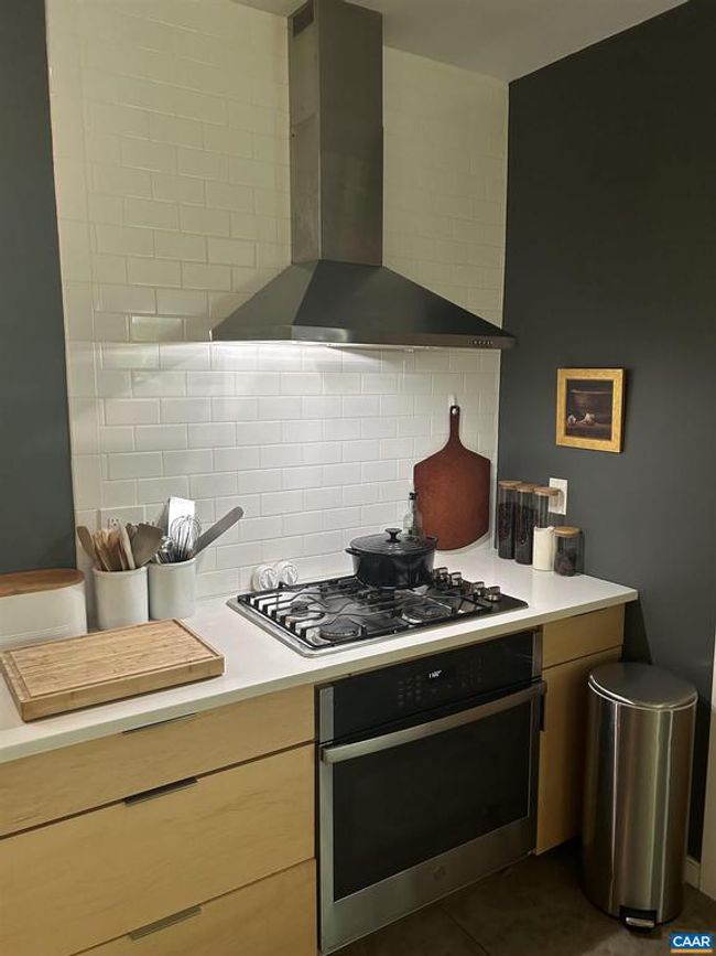 1130 E High St, Condo with 2 bedrooms, 2 bathrooms and null parking in CHARLOTTESVILLE VA | Image 13