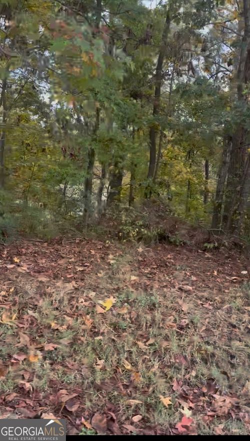 0 Blacks Bluff Rd Sw, Cave Spring, GA, 30124 | Card Image