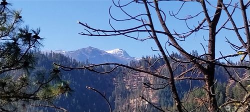 11685 Sunitsch Canyon Rd, Leavenworth, WA, 98826-9596 | Card Image