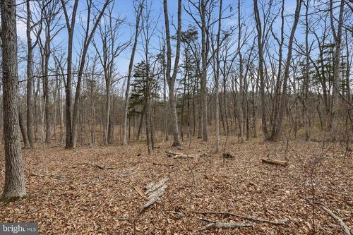 LOT 3 Arapaho Ln, STEPHENS CITY, VA, 22655 | Card Image