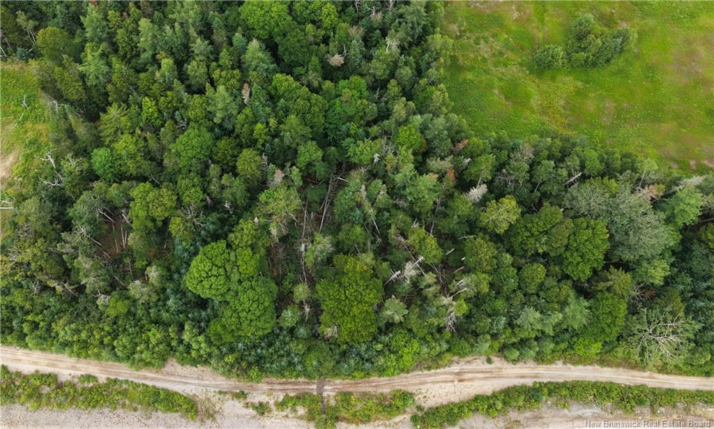 Land in Pennfield 2