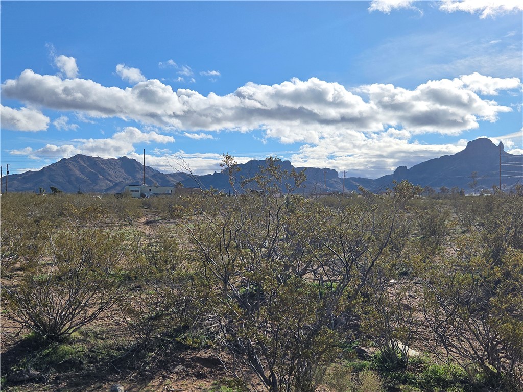 Land in Dolan Springs 4