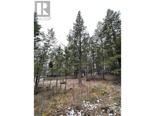 8828 N Hirtz St, Home with 0 bedrooms, 0 bathrooms and null parking in Elko BC | Image 7