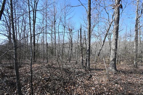 130 Wyatt Ln, Linden, TN, 37096 | Card Image