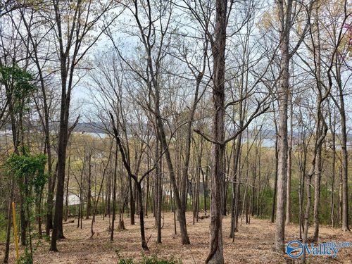 LOT 4 Creek Cir, Guntersville, AL, 35976 | Card Image
