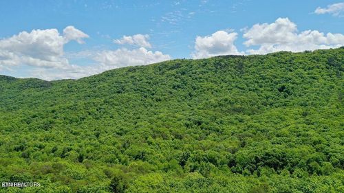 604 Solomon Seal Way, Maryville, TN, 37803-3385 | Card Image