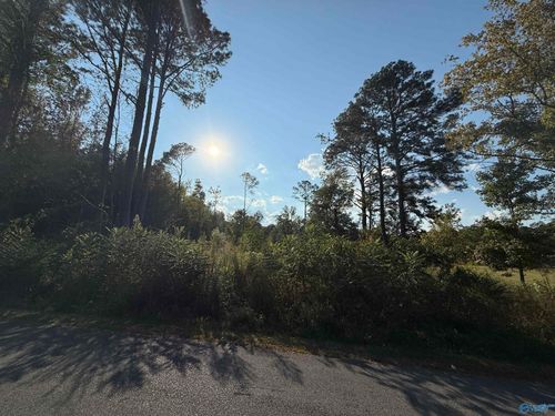 1.46 Acres 2nd Ave, Altoona, AL, 35952 | Card Image