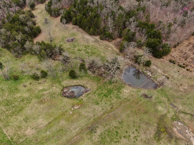 Fossil Cove Rd-51 | Image 51