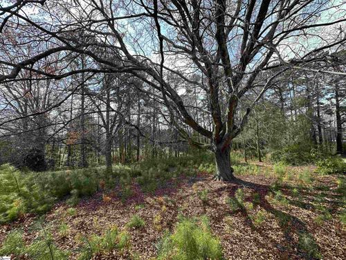 0 S Walnut Street, Seneca, SC, 29678 | Card Image