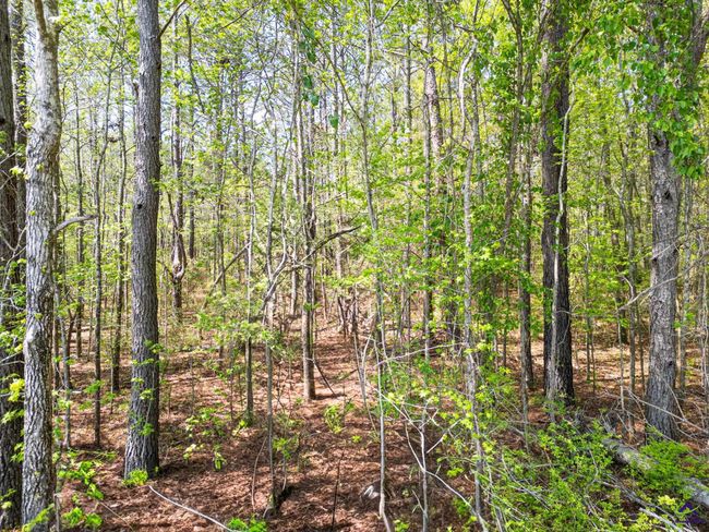 5760 Ga Highway 96 W, Home with 0 bedrooms, 0 bathrooms and null parking in Jeffersonville GA | Image 4