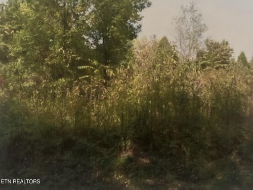 141 Amohi Way, Loudon, TN, 37774 | Card Image
