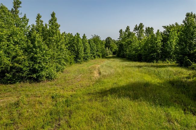 0 Johnson Rd, Home with 0 bedrooms, 0 bathrooms and null parking in Winona TX | Image 38