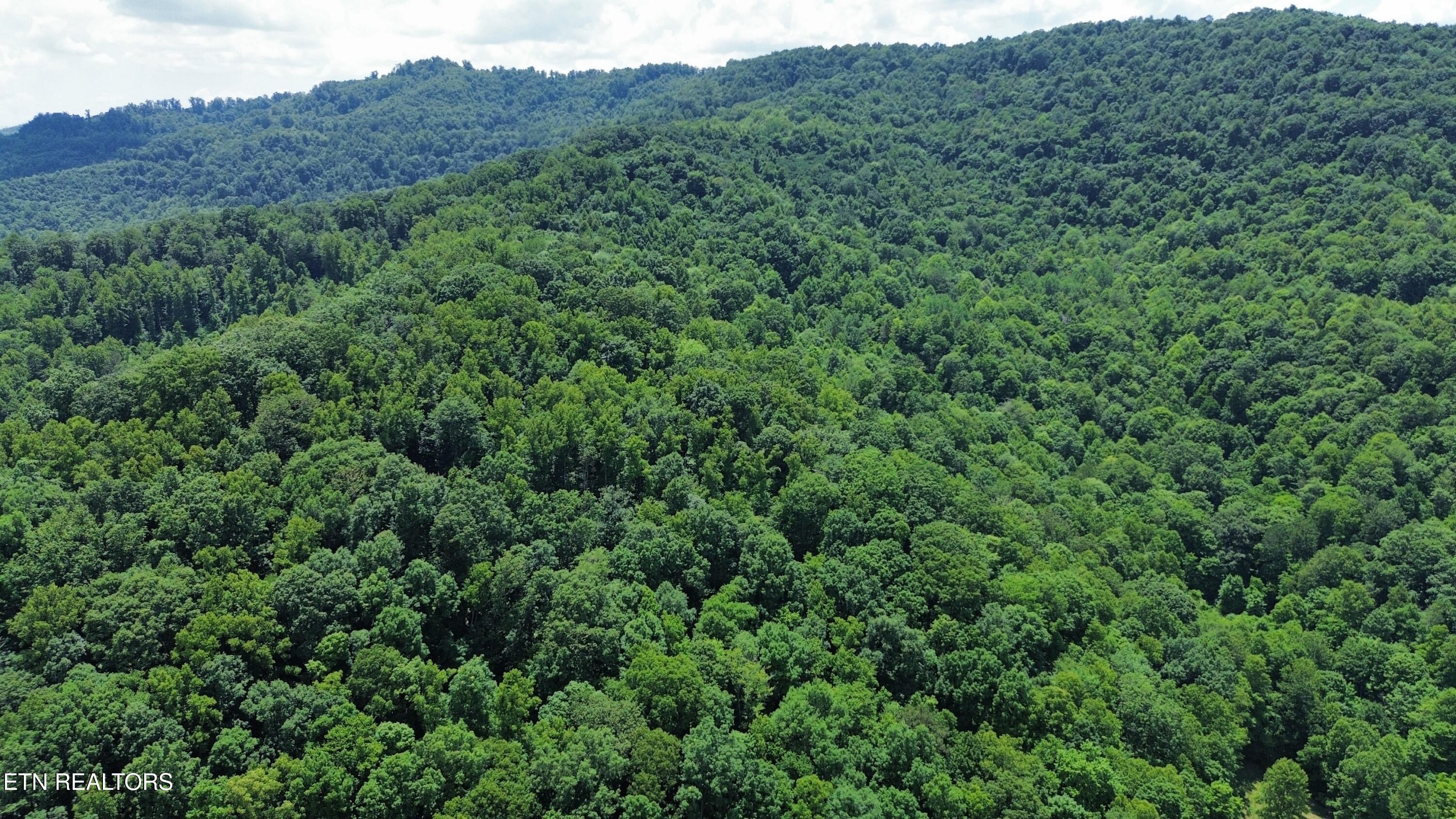 Land in LaFollette 3