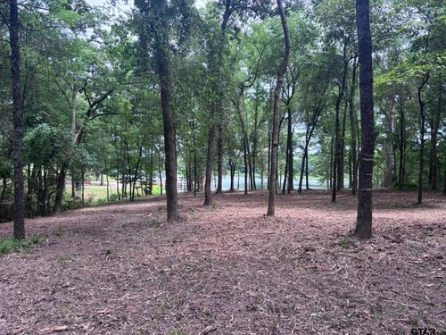 TBD County Road 1503, Alba, TX, 75410 | Card Image