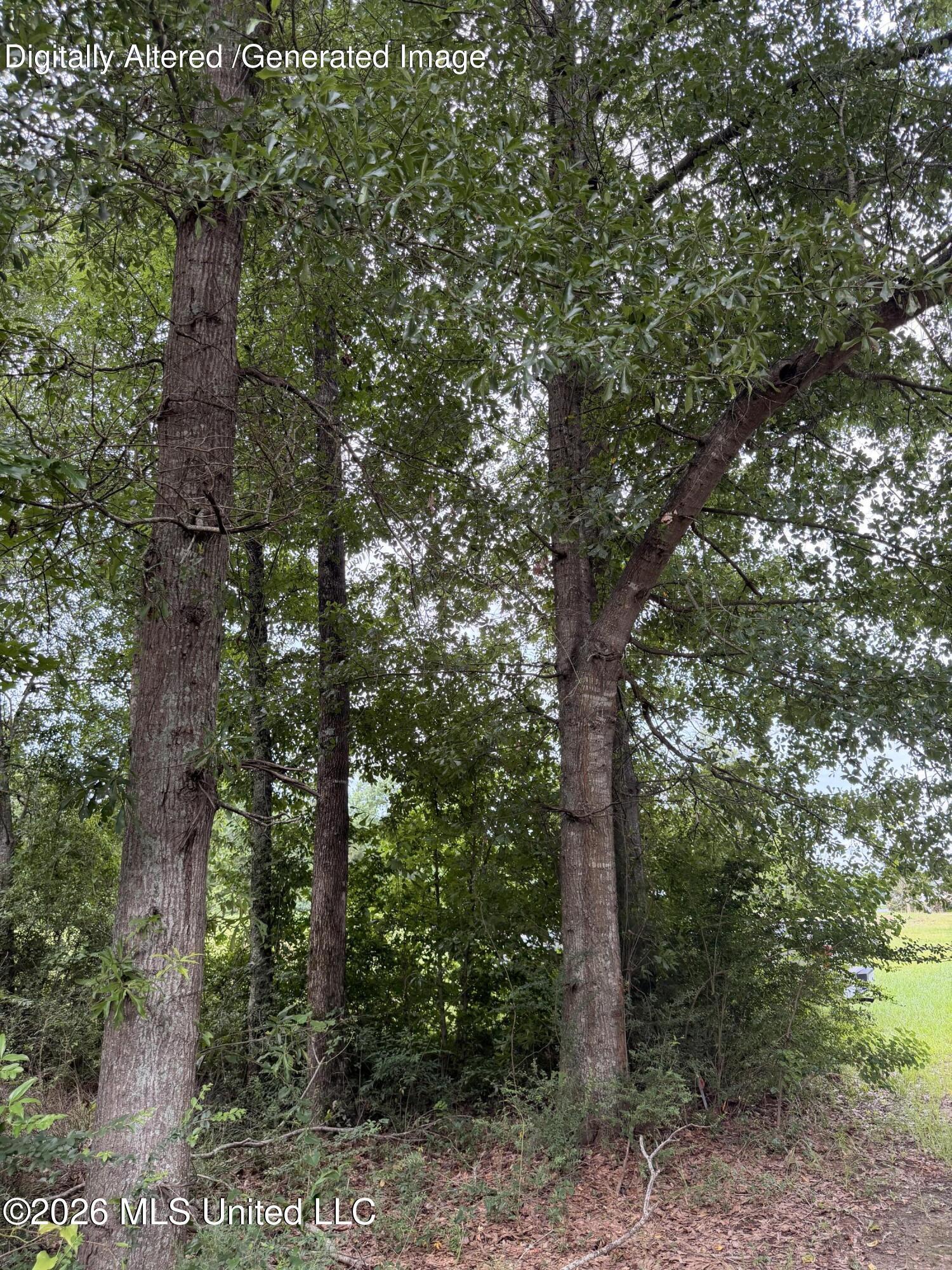 Land in McComb
