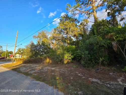 11290 Spring Hill Dr, Spring Hill, FL, 34609 | Card Image