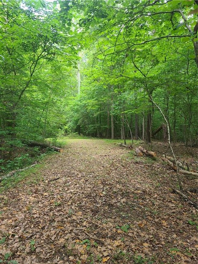 450 Crossing Creek Dr, Home with 0 bedrooms, 0 bathrooms and null parking in Belews Creek NC | Image 6