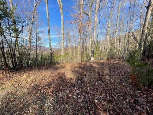 LOT 14 Big Cove Dr, Hiawassee, GA, 30546 | Card Image