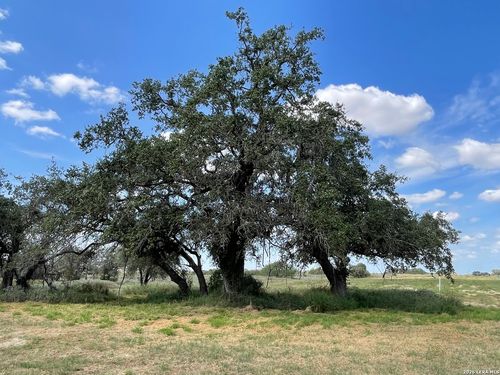 275 County Road 331, Floresville, TX, 78114 | Card Image